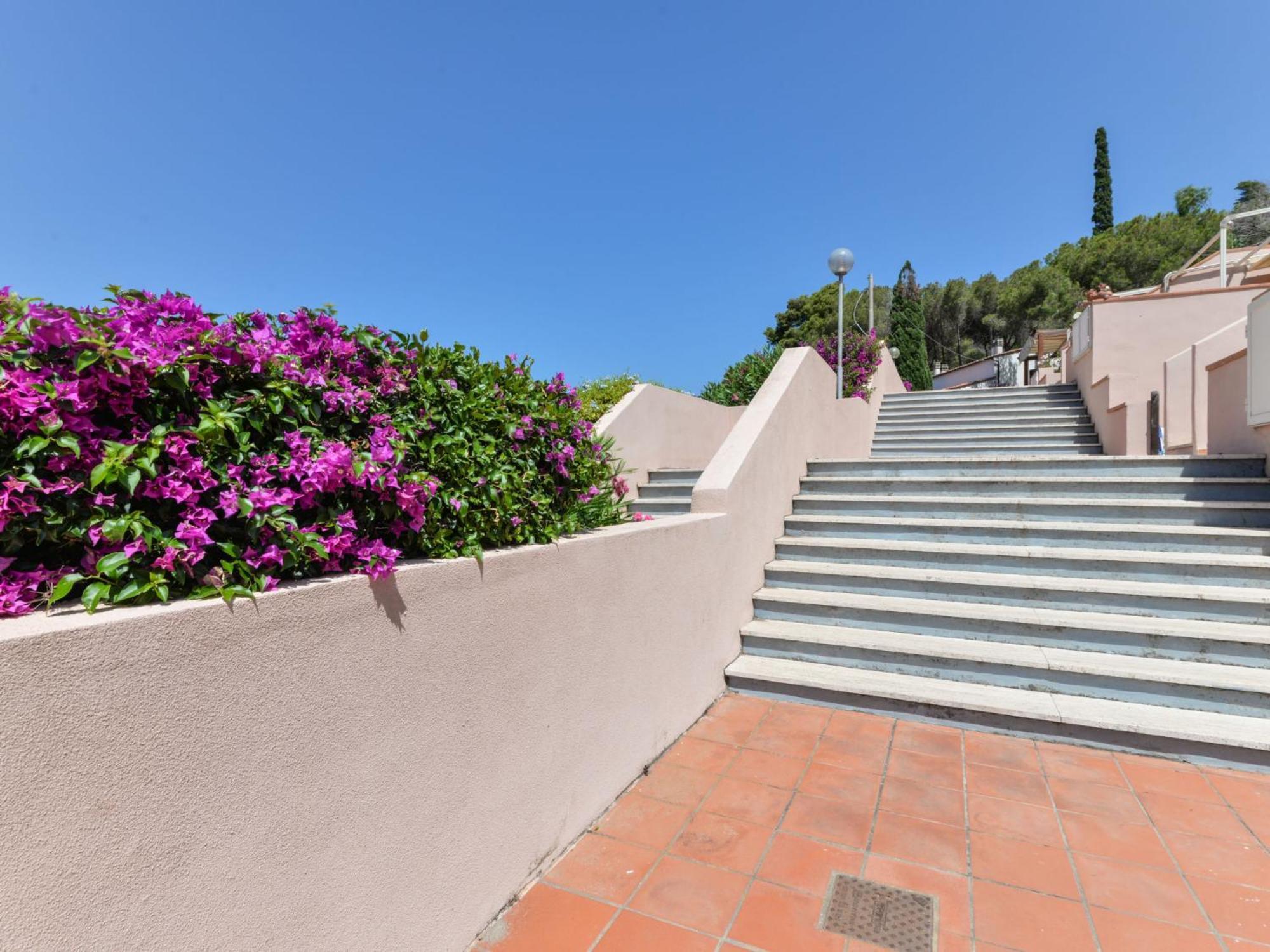 Apartment Cala Rossa-1 By Interhome Nisporto المظهر الخارجي الصورة